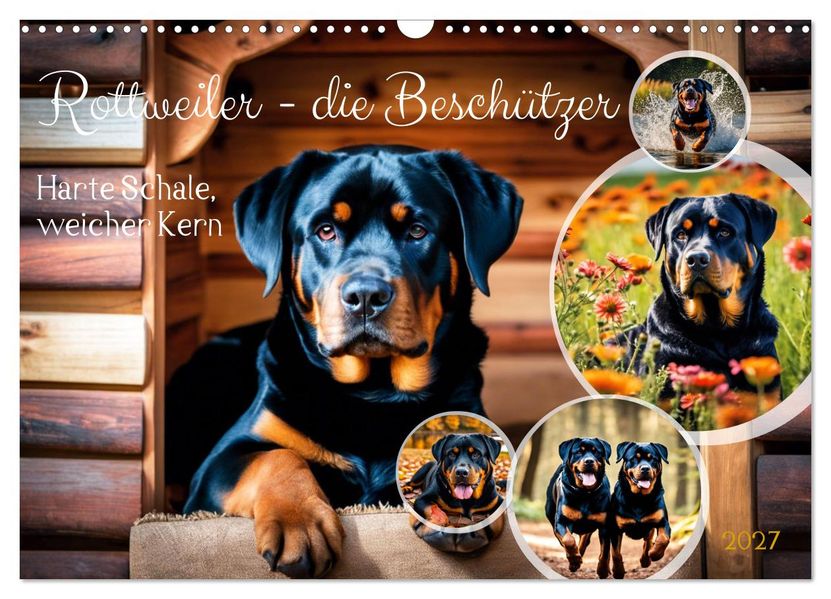 Rottweiler - die Beschützer (Wandkalender 2027 DIN A3 quer) CALVENDO Monatskalender