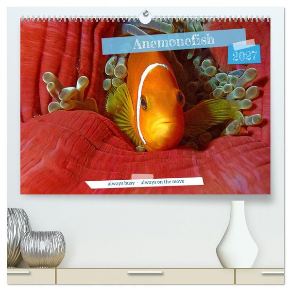 Anemonefish - always busy - always on the move (High Quality Premium Wall Calendar 2027 DIN A2 landscape)CALVENDO 12 Month Wall Calendar