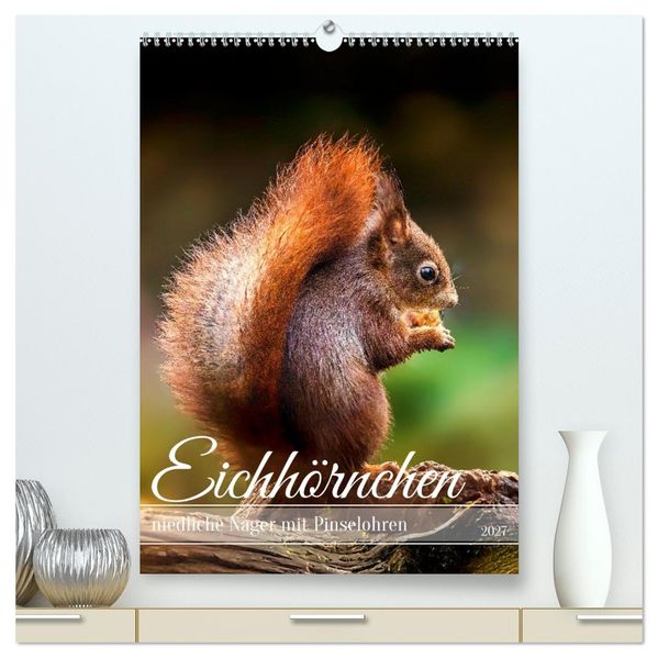 Niedlicher Nager - Das Eichhörnchen (hochwertiger Premium Wandkalender 2027 DIN A2 hoch) Kunstdruck in Hochglanz