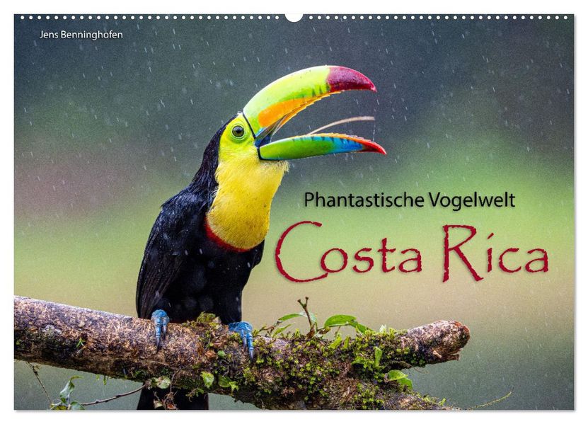 Phantastische Vogelwelt Costa Rica (Wandkalender 2027 DIN A2 quer) CALVENDO Monatskalender