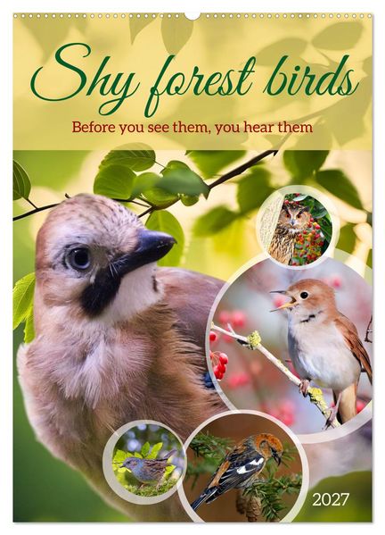 Shy forest birds (Wall Calendar 2027 DIN A2 portrait) CALVENDO 12 Month Wall Calendar