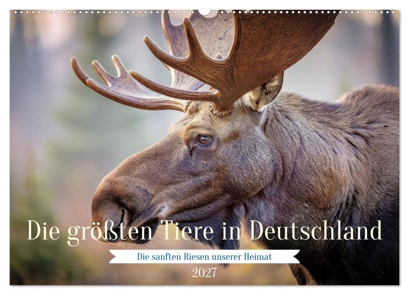 Die größten Tiere in Deutschland (Wandkalender 2027 DIN A2 quer) CALVENDO Monatskalender