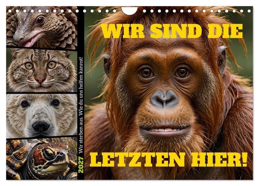 Wir sind die Letzten hier! Wir sterben aus. Wie du uns helfen kannst! (Wandkalender 2027 DIN A4 quer) CALVENDO Monatskalender