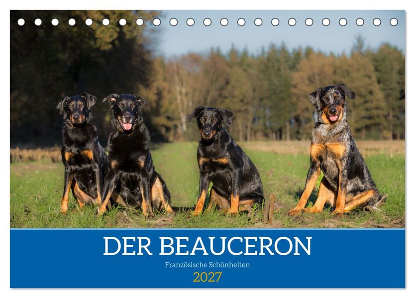 Der Beauceron (Tischkalender 2027 DIN A5 quer) CALVENDO Monatskalender