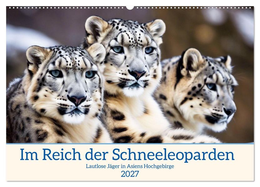 Im Reich der Schneeleoparden (Wandkalender 2027 DIN A2 quer) CALVENDO Monatskalender