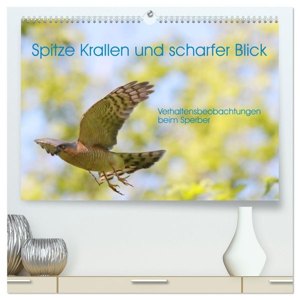 Spitze Krallen und scharfer Blick - Verhalten Sperber (hochwertiger Premium Wandkalender 2027 DIN A2 quer) Kunstdruck in Hochglanz