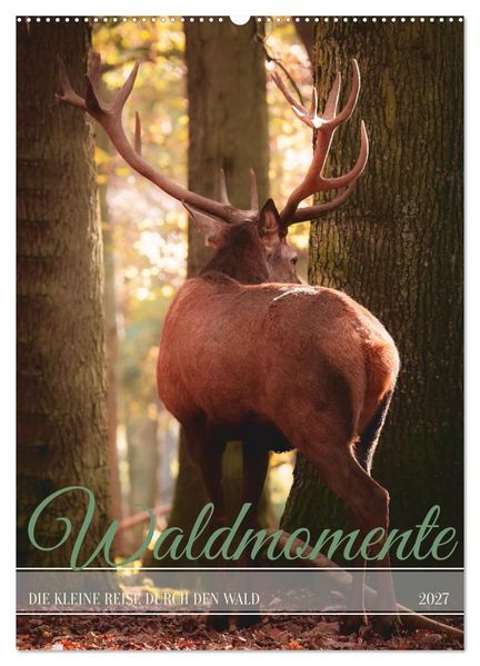 Waldmomente (Wandkalender 2027 DIN A2 hoch) CALVENDO Monatskalender
