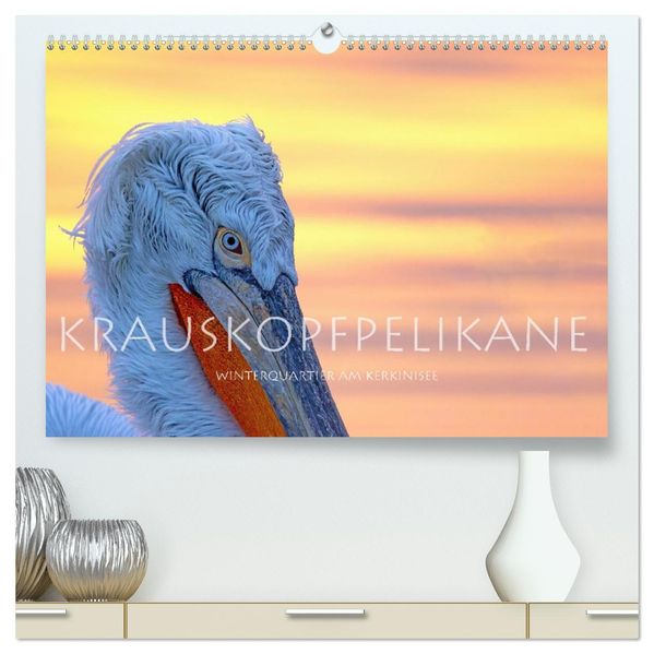 Krauskopfpelikane (hochwertiger Premium Wandkalender 2027 DIN A2 quer) Kunstdruck in Hochglanz