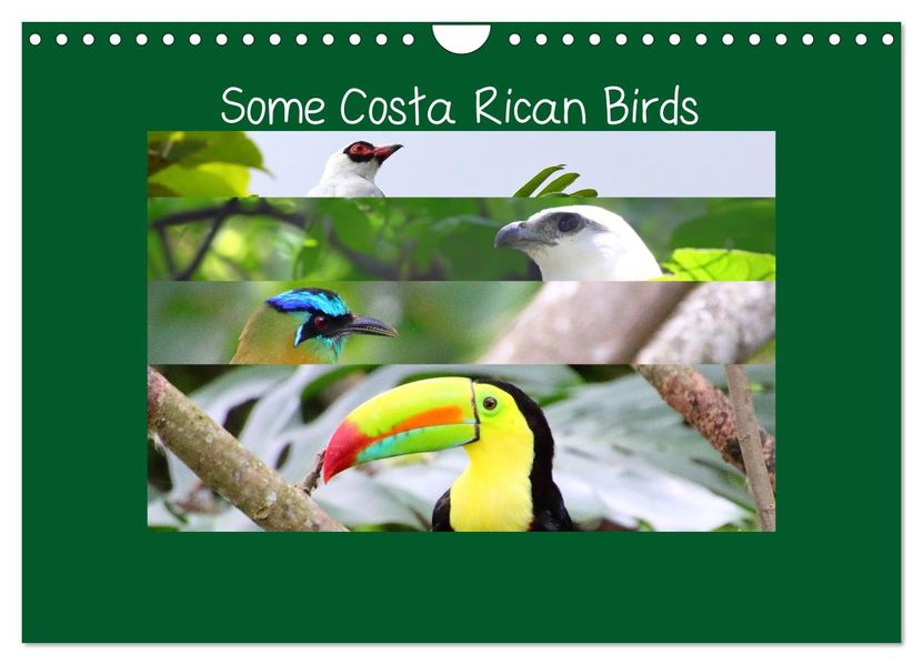 Some Costa Rican Birds (Wall Calendar 2027 DIN A4 landscape) CALVENDO 12 Month Wall Calendar