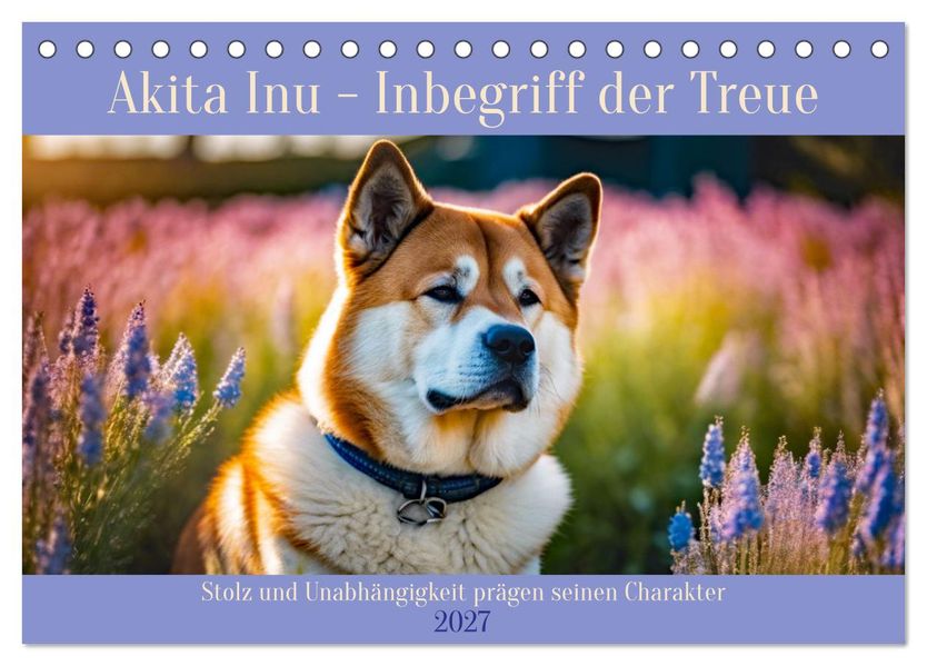 Akita Inu - Inbegriff der Treue (Tischkalender 2027 DIN A5 quer) CALVENDO Monatskalender