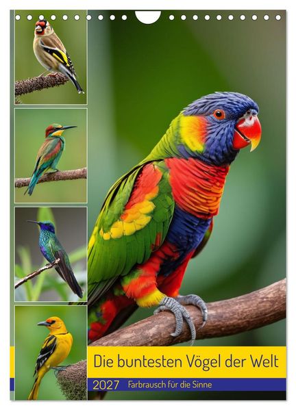 Die buntesten Vögel der Welt (Wandkalender 2027 DIN A4 hoch) CALVENDO Monatskalender