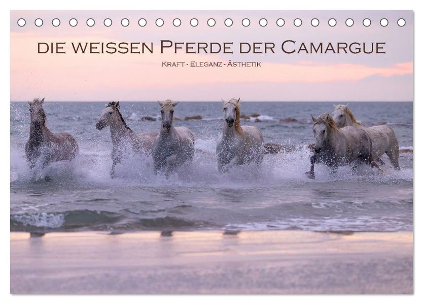 Die weißen Pferde der Camargue (Tischkalender 2027 DIN A5 quer) CALVENDO Monatskalender