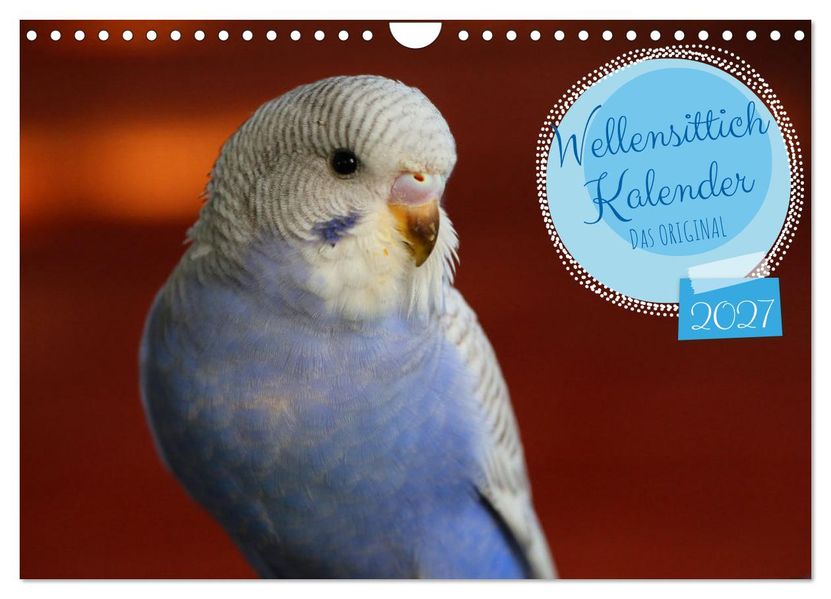 Wellensittichkalender! - Das Original (Wandkalender 2027 DIN A4 quer) CALVENDO Monatskalender