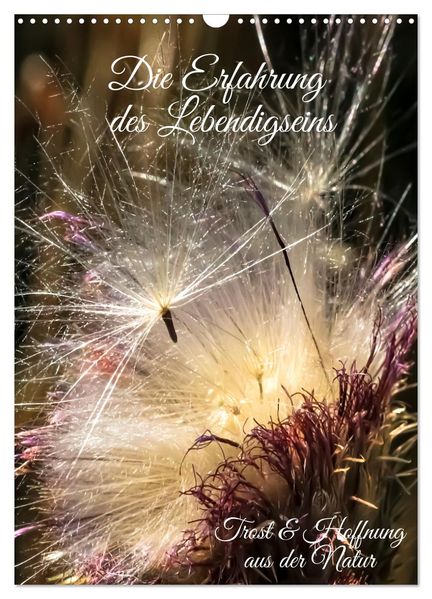 Die Erfahrung des Lebendigseins (Wandkalender 2027 DIN A3 hoch) CALVENDO Monatskalender