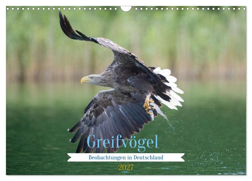 Greifer in Aktion (Wandkalender 2027 DIN A3 quer) CALVENDO Monatskalender