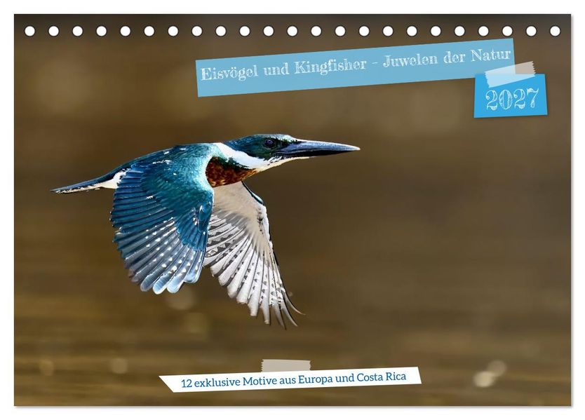 Eisvögel und Kingfisher - Juwelen der Natur (Tischkalender 2027 DIN A5 quer) CALVENDO Monatskalender