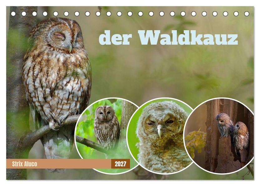 der Waldkauz - Strix Aluco (Tischkalender 2027 DIN A5 quer) CALVENDO Monatskalender