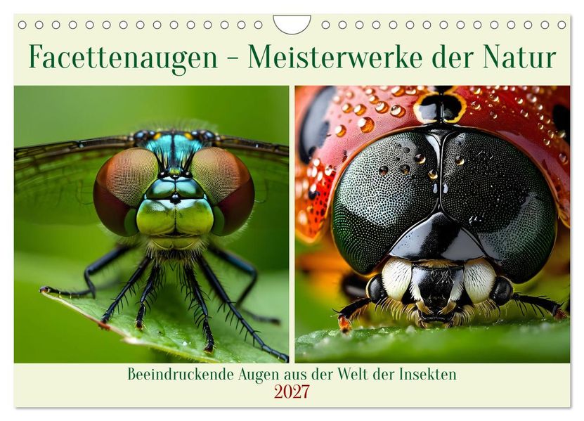 Facettenaugen - Meisterwerke der Natur (Wandkalender 2027 DIN A4 quer) CALVENDO Monatskalender