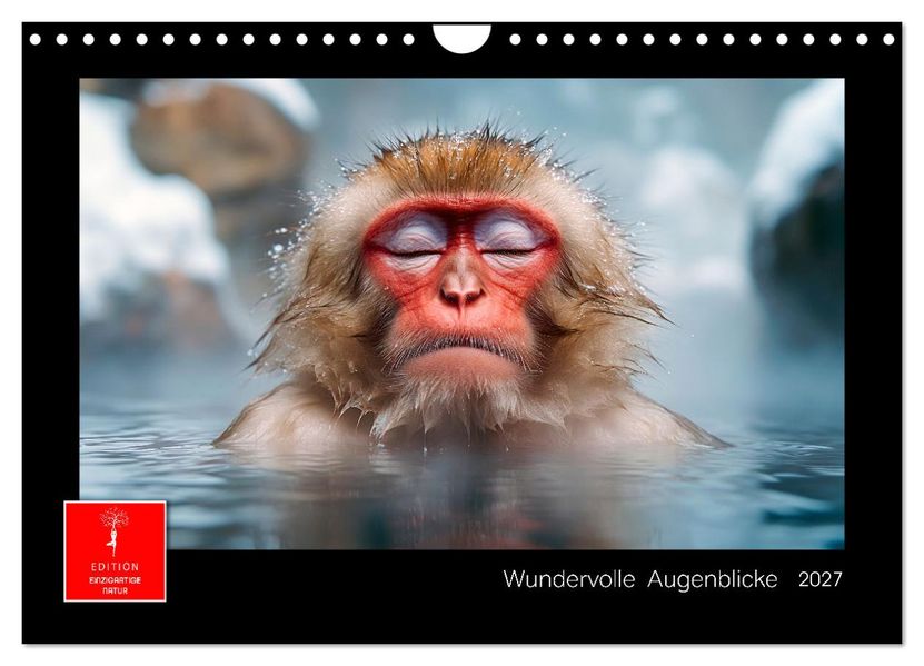 Wundervolle Augenblicke (Wandkalender 2027 DIN A4 quer) CALVENDO Monatskalender
