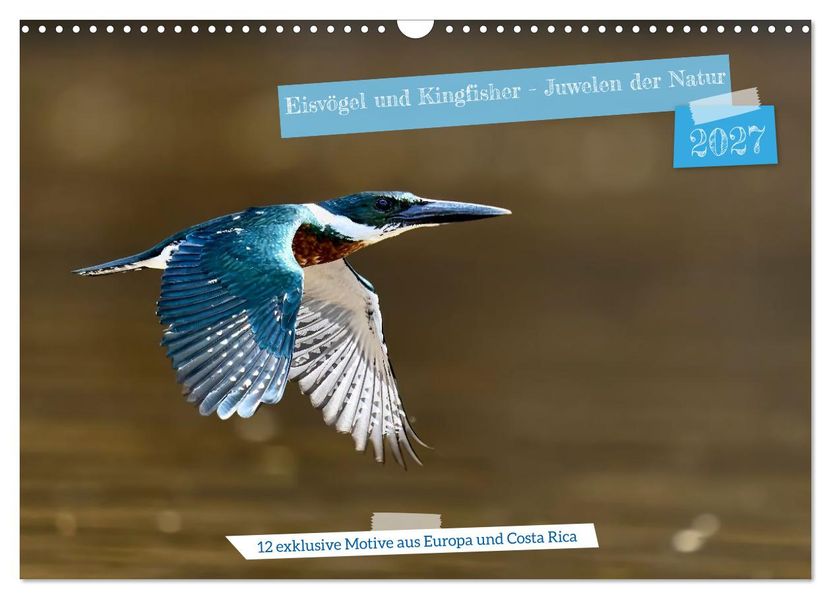 Eisvögel und Kingfisher - Juwelen der Natur (Wandkalender 2027 DIN A3 quer) CALVENDO Monatskalender