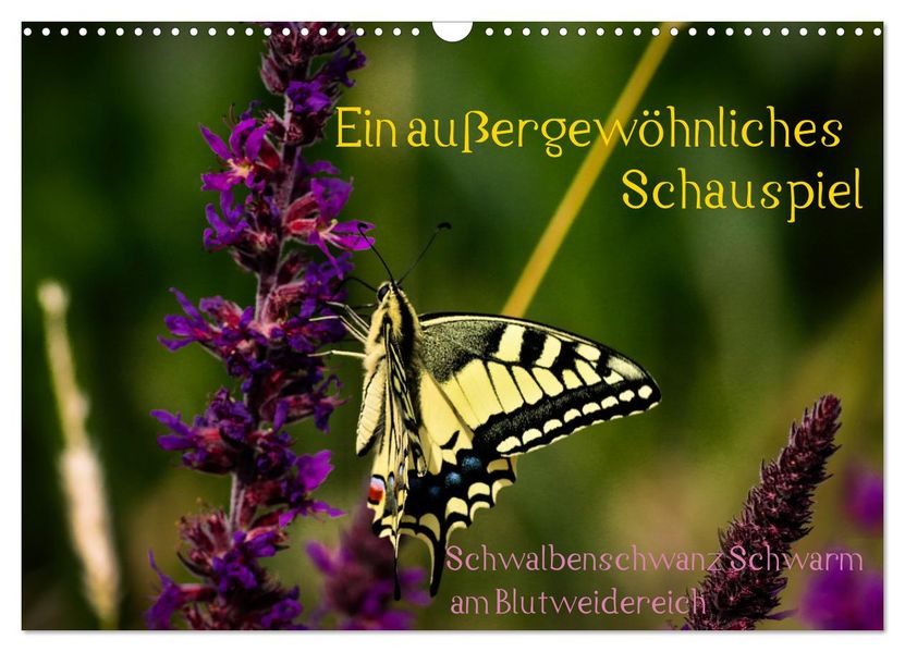 Ein außergewöhnliches Schauspiel (Wandkalender 2027 DIN A3 quer) CALVENDO Monatskalender