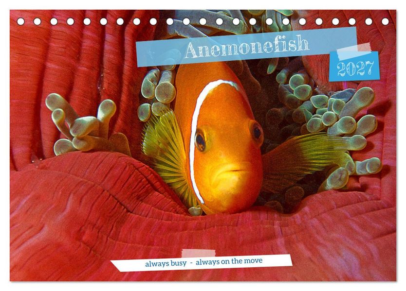 Anemonefish - always busy - always on the move (Desk Calendar 2027 DIN A5 landscape) CALVENDO 12 Month DeskCalendar
