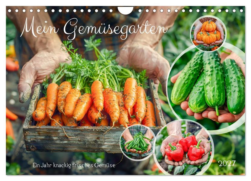 Mein Gemüsegarten - Ein Jahr knackig frisches Gemüse (Wandkalender 2027 DIN A4 quer) CALVENDO Monatskalender