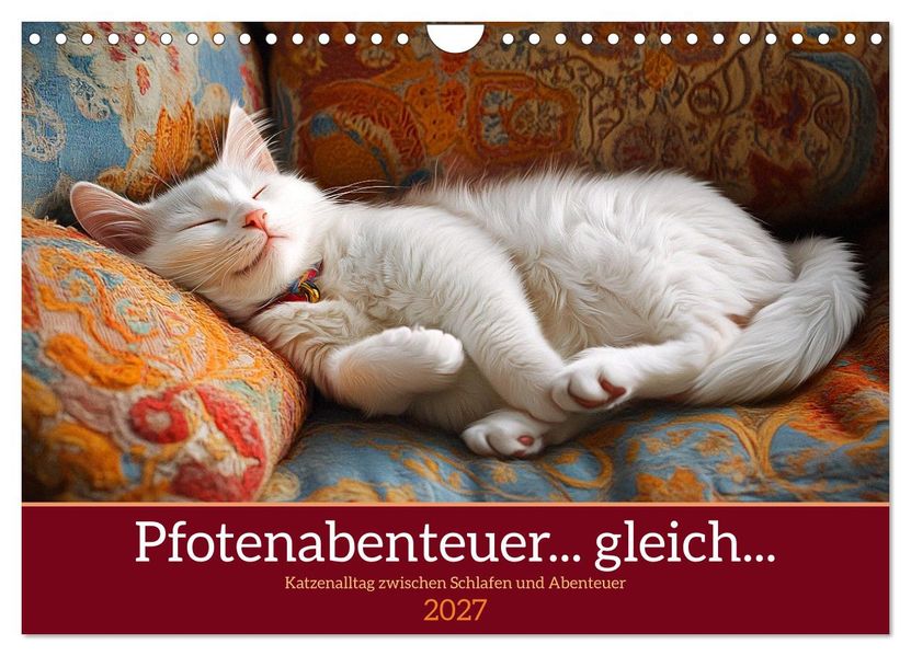 Pfotenabenteuer gleich (Wandkalender 2027 DIN A4 quer) CALVENDO Monatskalender