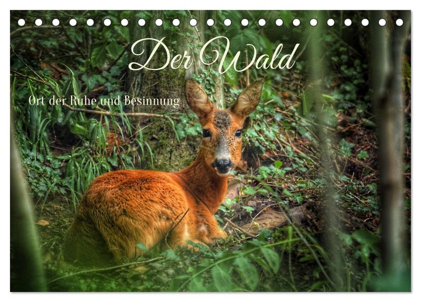Der Wald - Ort der Ruhe und Besinnung (Tischkalender 2027 DIN A5 quer) CALVENDO Monatskalender