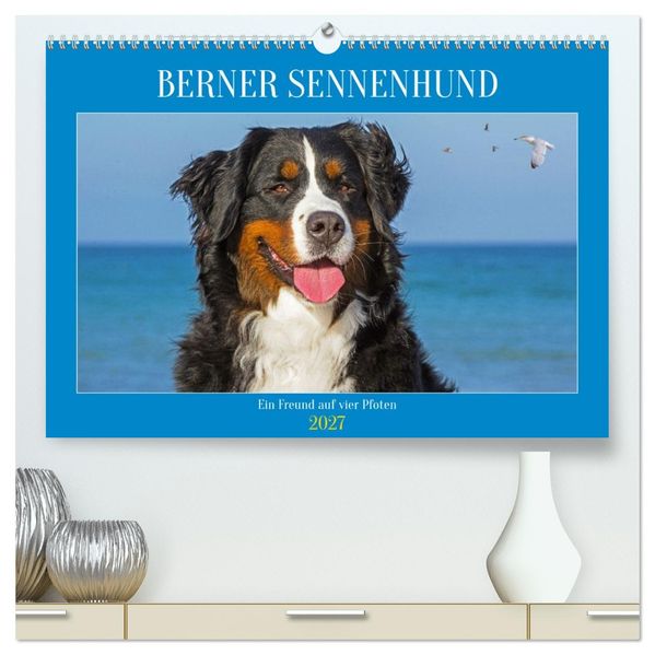 Berner Sennenhund - Ein Freund auf vier Pfoten (hochwertiger Premium Wandkalender 2027 DIN A2 quer) Kunstdruck in Hochglanz