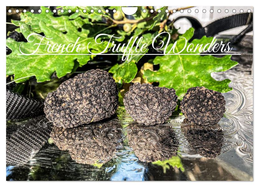 French Truffle Wonders (Wall Calendar 2027 DIN A4 landscape) CALVENDO 12 Month Wall Calendar