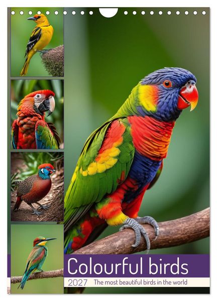 Colourful birds (Wall Calendar 2027 DIN A4 portrait) CALVENDO 12 Month Wall Calendar