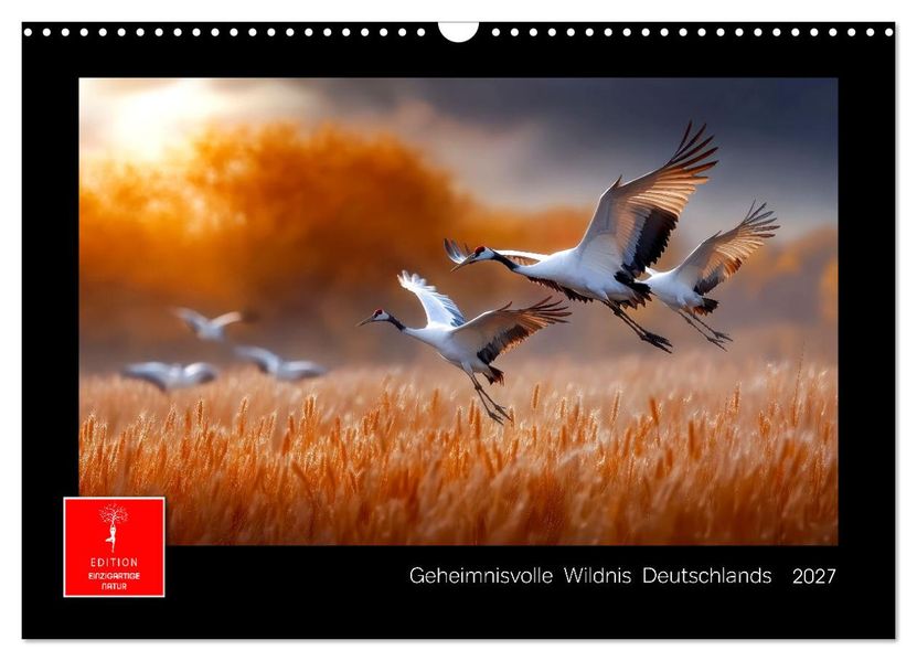 Geheimnisvolle Wildnis Deutschlands (Wandkalender 2027 DIN A3 quer) CALVENDO Monatskalender