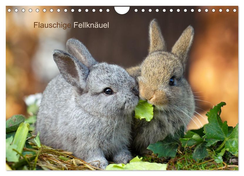 Flauschige Fellknäuel (Wandkalender 2027 DIN A4 quer) CALVENDO Monatskalender