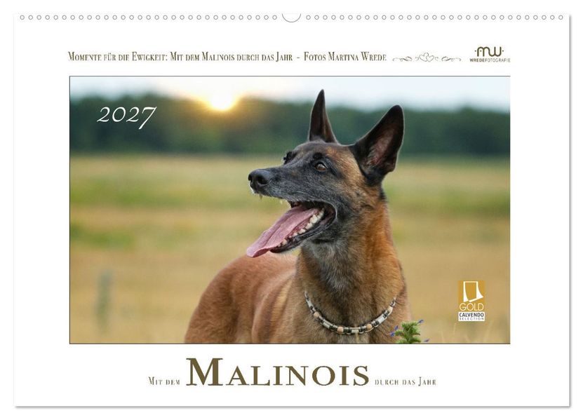Mit dem Malinois durch das Jahr (Wandkalender 2027 DIN A2 quer) CALVENDO Monatskalender
