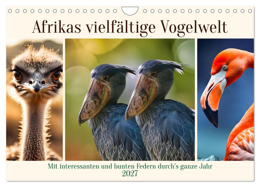 Afrikas vielfältige Vogelwelt (Wandkalender 2027 DIN A4 quer) CALVENDO Monatskalender