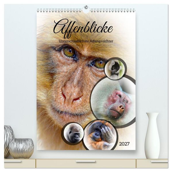 Affenblicke (hochwertiger Premium Wandkalender 2027 DIN A2 hoch) Kunstdruck in Hochglanz