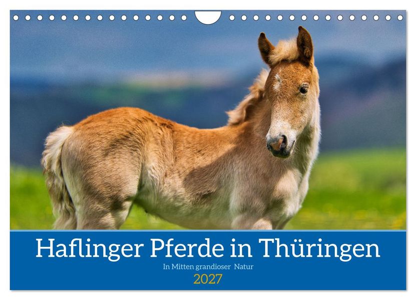 Haflinger Pferde in Thüringen (Wandkalender 2027 DIN A4 quer) CALVENDO Monatskalender