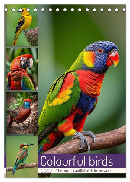 Colourful birds (Desk Calendar 2027 DIN A5 portrait) CALVENDO 12 Month DeskCalendar