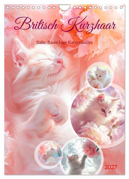 Britisch Kurzhaar (Wandkalender 2027 DIN A4 hoch) CALVENDO Monatskalender