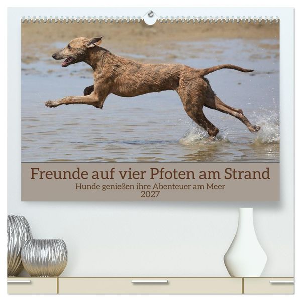 Freunde auf vier Pfoten am Strand (hochwertiger Premium Wandkalender 2027 DIN A2 quer) Kunstdruck in Hochglanz