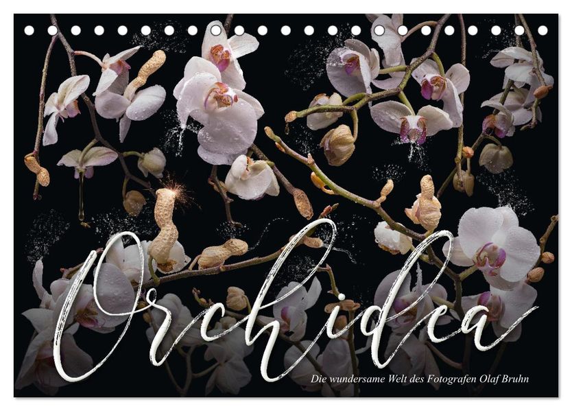 Orchidea (Tischkalender 2027 DIN A5 quer) CALVENDO Monatskalender
