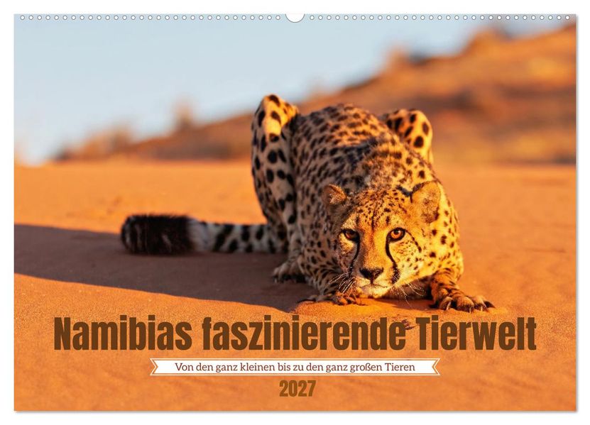 Namibias faszinierende Tierwelt (Wandkalender 2027 DIN A2 quer) CALVENDO Monatskalender