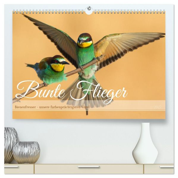 Bunte Flieger (hochwertiger Premium Wandkalender 2027 DIN A2 quer) Kunstdruck in Hochglanz