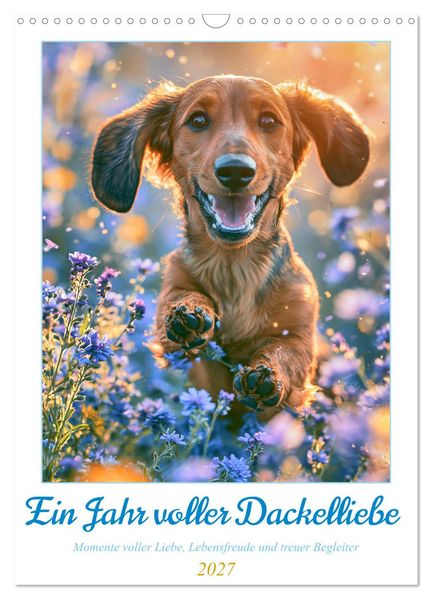 Ein Jahr voller Dackelliebe (Wandkalender 2027 DIN A3 hoch) CALVENDO Monatskalender