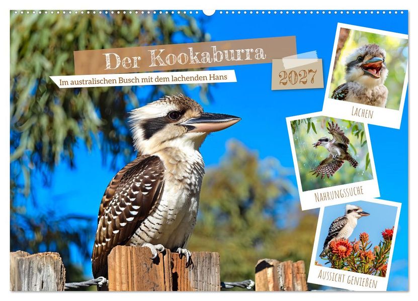 Der Kookaburra - Im australischen Busch mit dem lachenden Hans (Wandkalender 2027 DIN A2 quer) CALVENDO Monatskalender