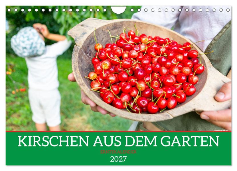 Kirschen aus dem Garten - Erntekalender (Wandkalender 2027 DIN A4 quer) CALVENDO Monatskalender