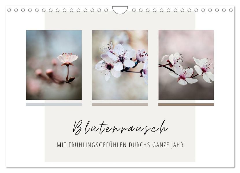 Blütenrausch - Mit Frühlingsgefühlen durchs ganze Jahr (Wandkalender 2027 DIN A4 quer) CALVENDO Monatskalender