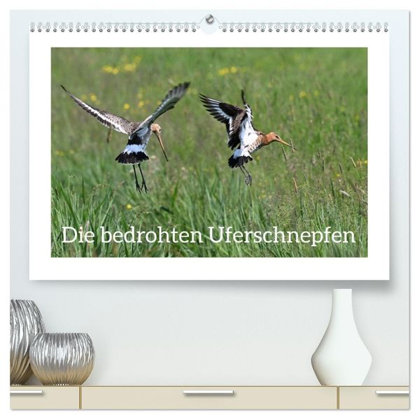 Die bedrohten Uferschnepfen (hochwertiger Premium Wandkalender 2027 DIN A2 quer) Kunstdruck in Hochglanz