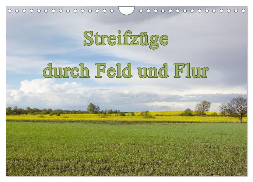 Streifzüge durch Feld und Flur (Wandkalender 2027 DIN A4 quer) CALVENDO Monatskalender